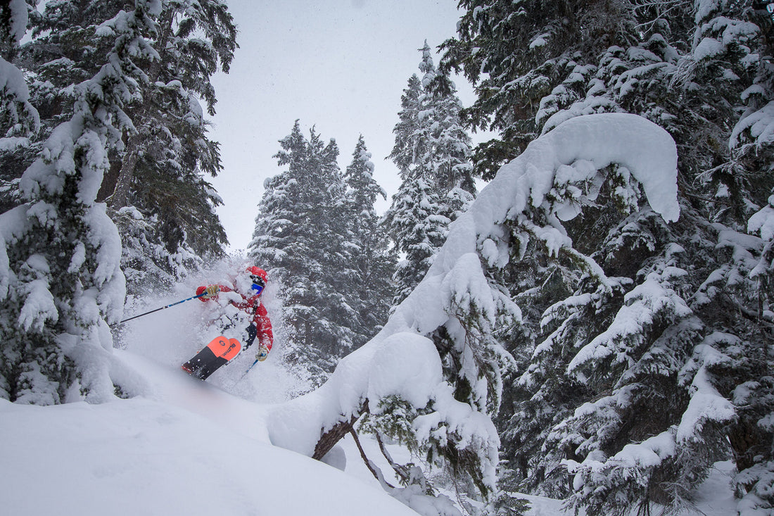 Heliskiing-Traumreise Kanada 2023 / 2024