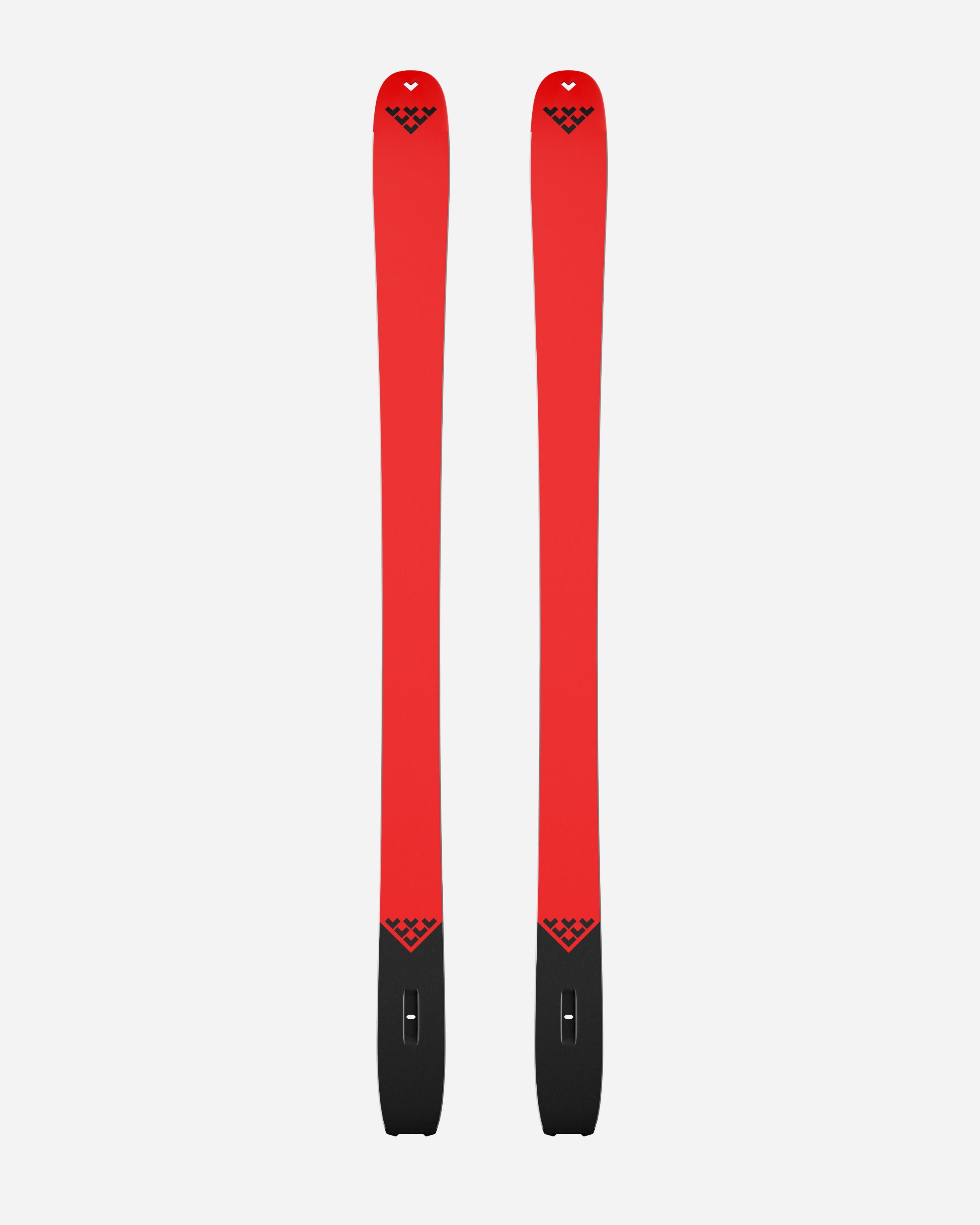 Camox Freebird NEW NEW NEW