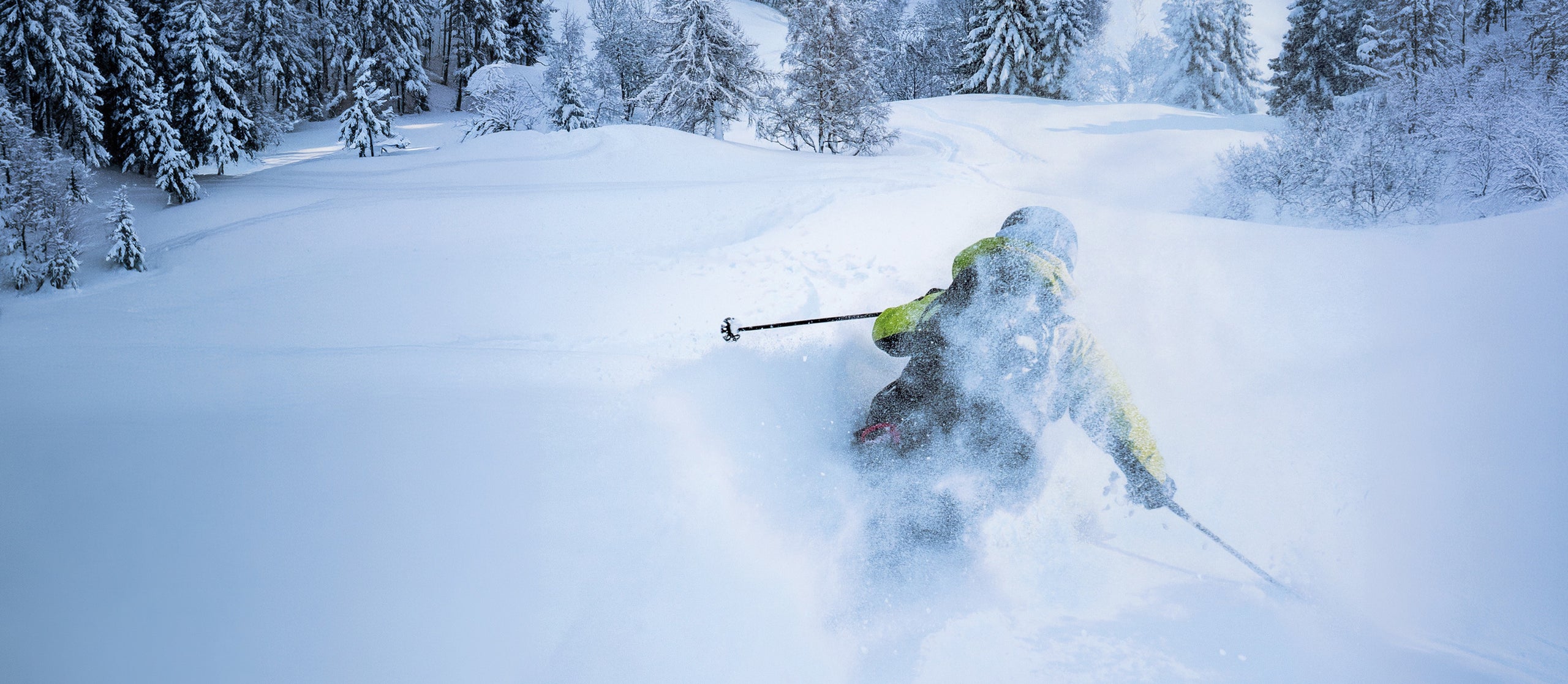 Powder-Abfahrt im verschneiten Wald — Scarpa F1 RS