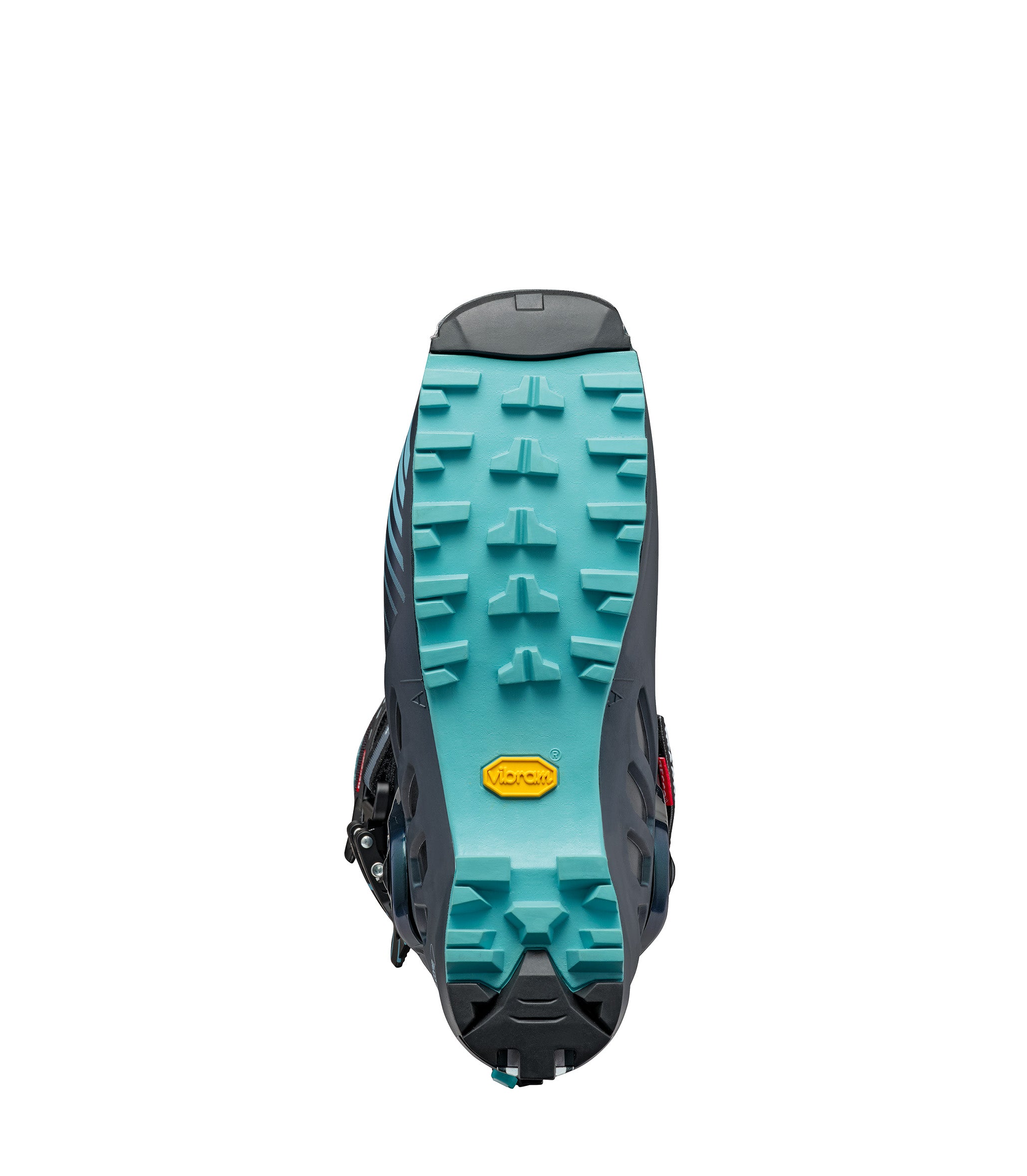 F1 Wmn (ANTHRACITE / AQUA)